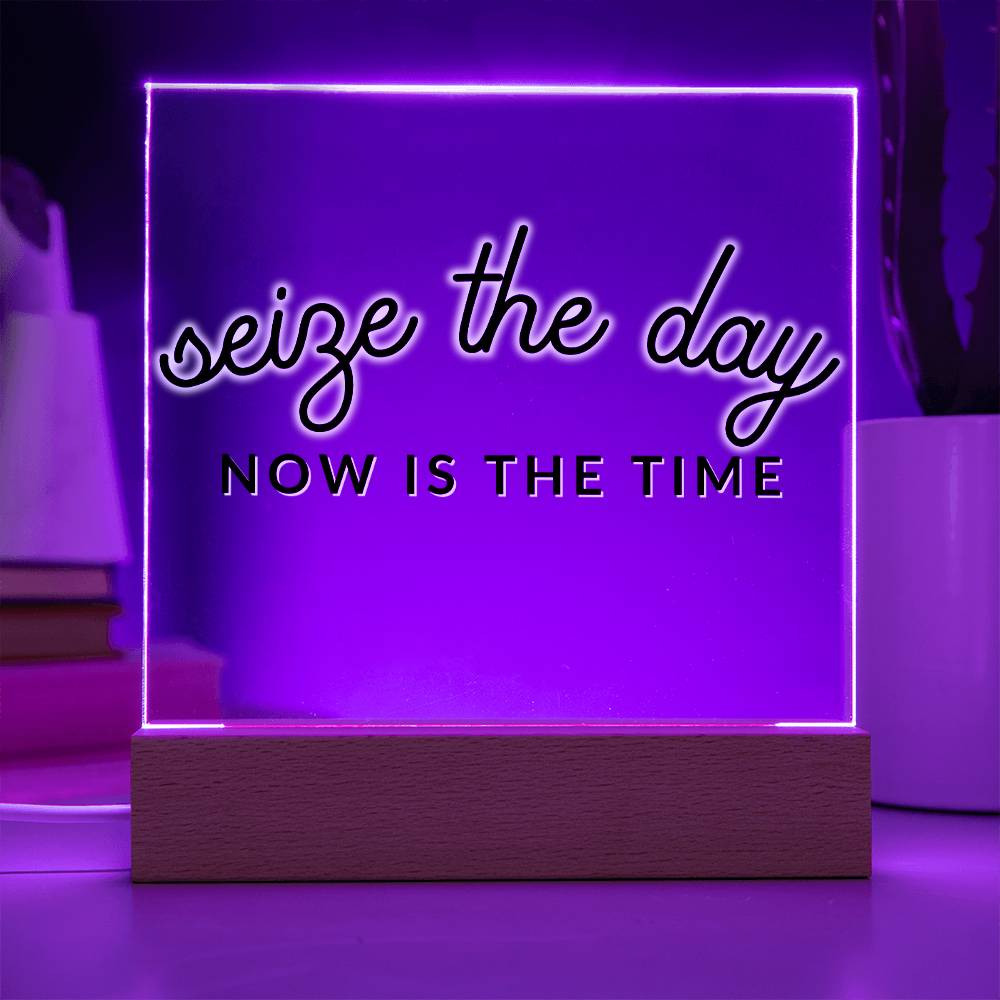 Seize The Day - Motivational Acrylic with LED Nigh Light - Inspirational New Home Decor - Encouragement, Birthday or Christmas Gift