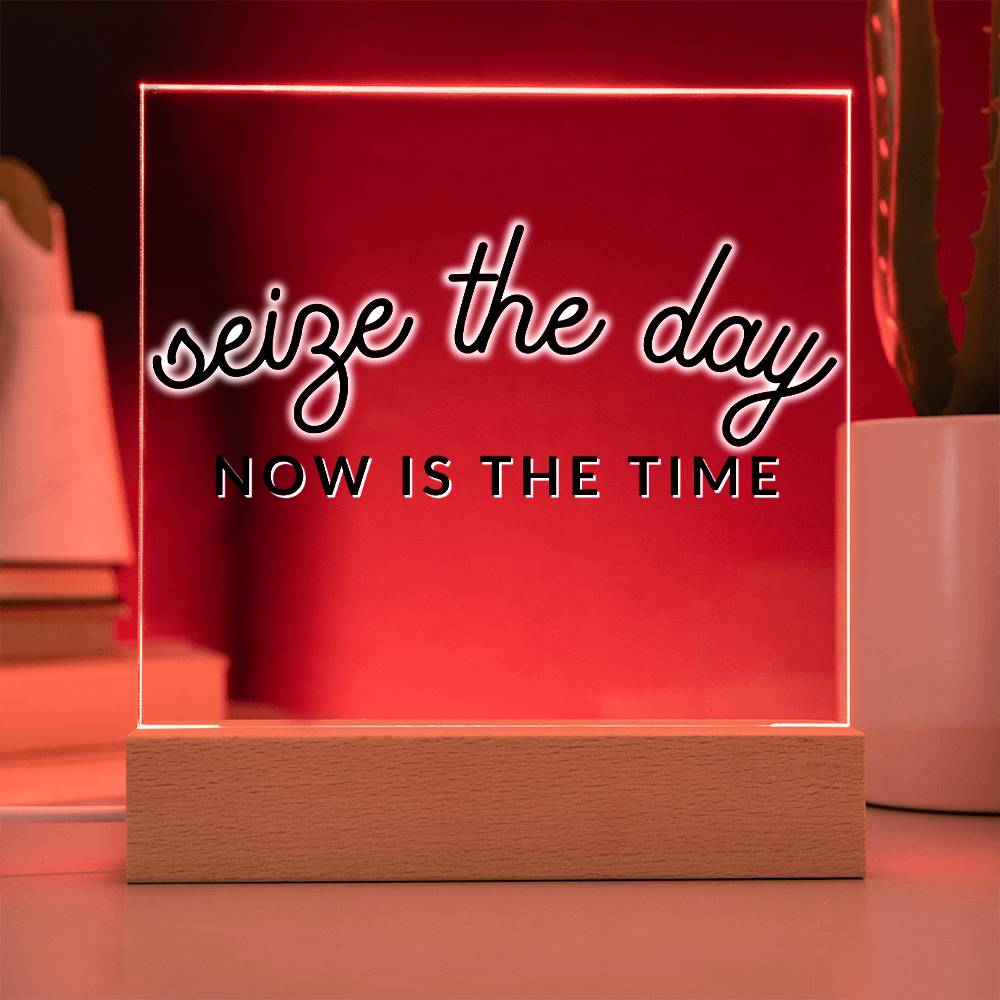 Seize The Day - Motivational Acrylic with LED Nigh Light - Inspirational New Home Decor - Encouragement, Birthday or Christmas Gift