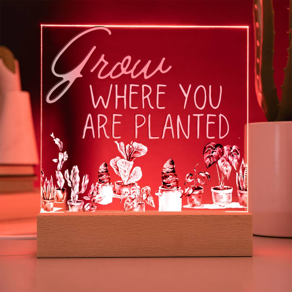 Grow Where You Are Planted - Funny Plant Acrylic with LED Nigh Light - Indoor Home Garden Decor - Birthday or Christmas Gift For Horticulturists, Gardner, or Plant Lover