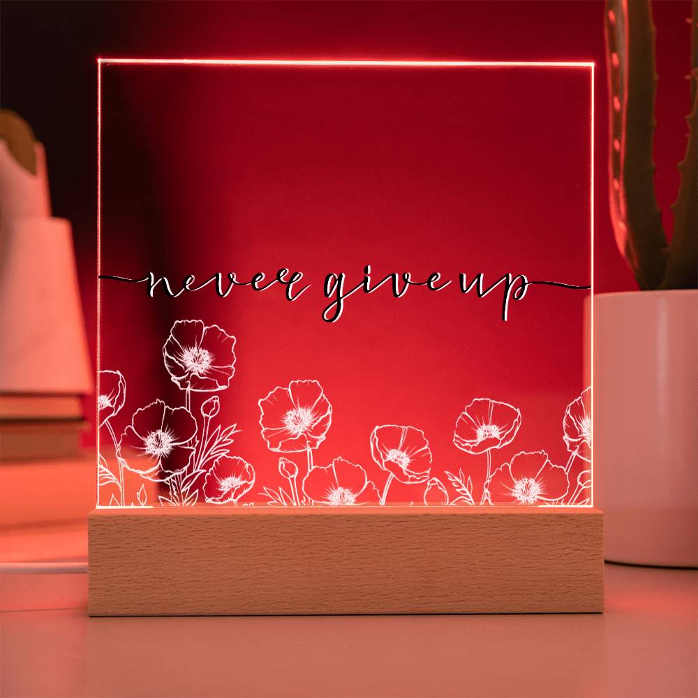 Never Give Up - Motivational Acrylic with LED Nigh Light - Inspirational New Home Decor - Encouragement, Birthday or Christmas Gift