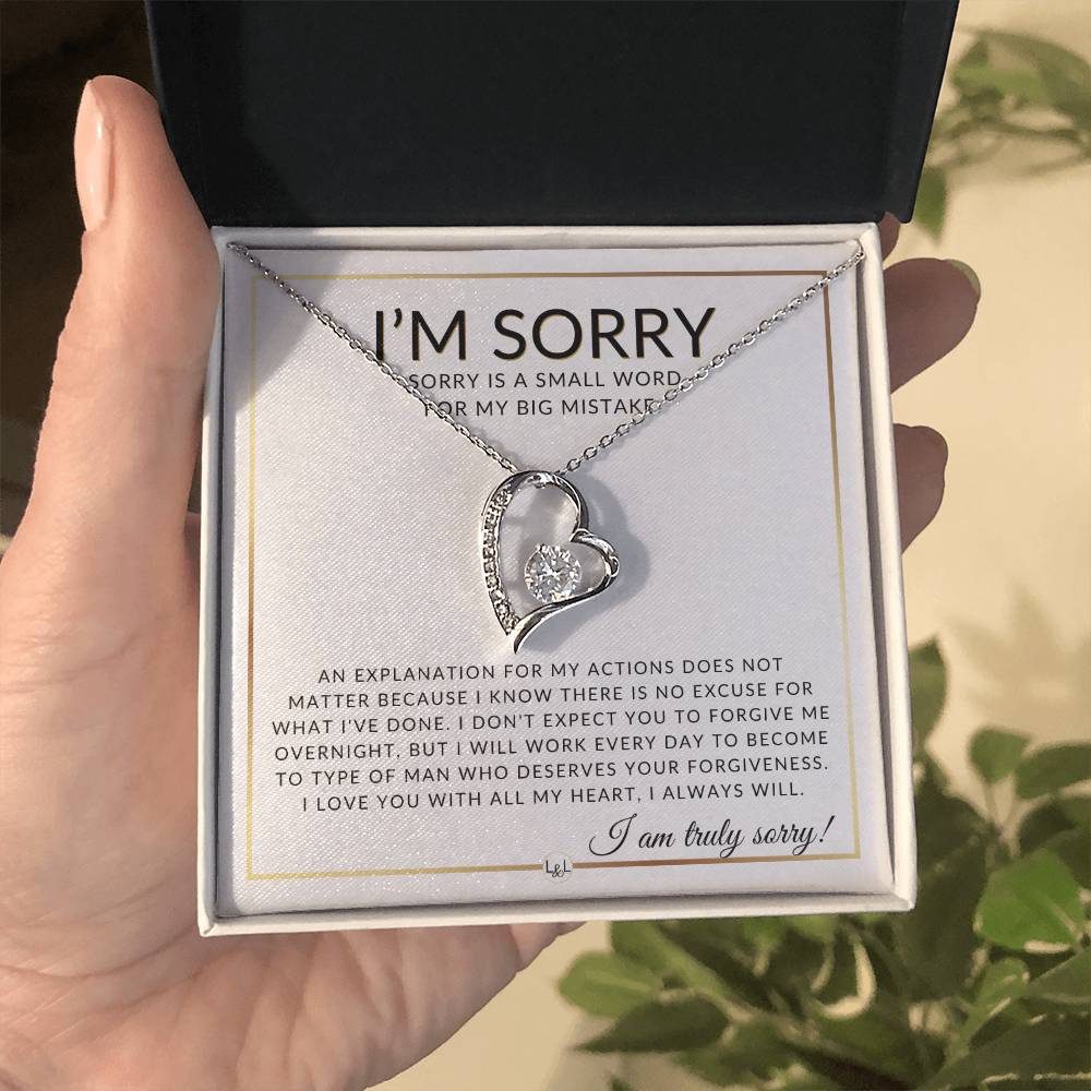 I Am Sorry Gift For Her - No Excuses - Apology Gift For Wife, Fiancée, or Girlfriend - Beautiful Women's Open Heart Pendant Necklace + Heartfelt Message - Liliana and Liam