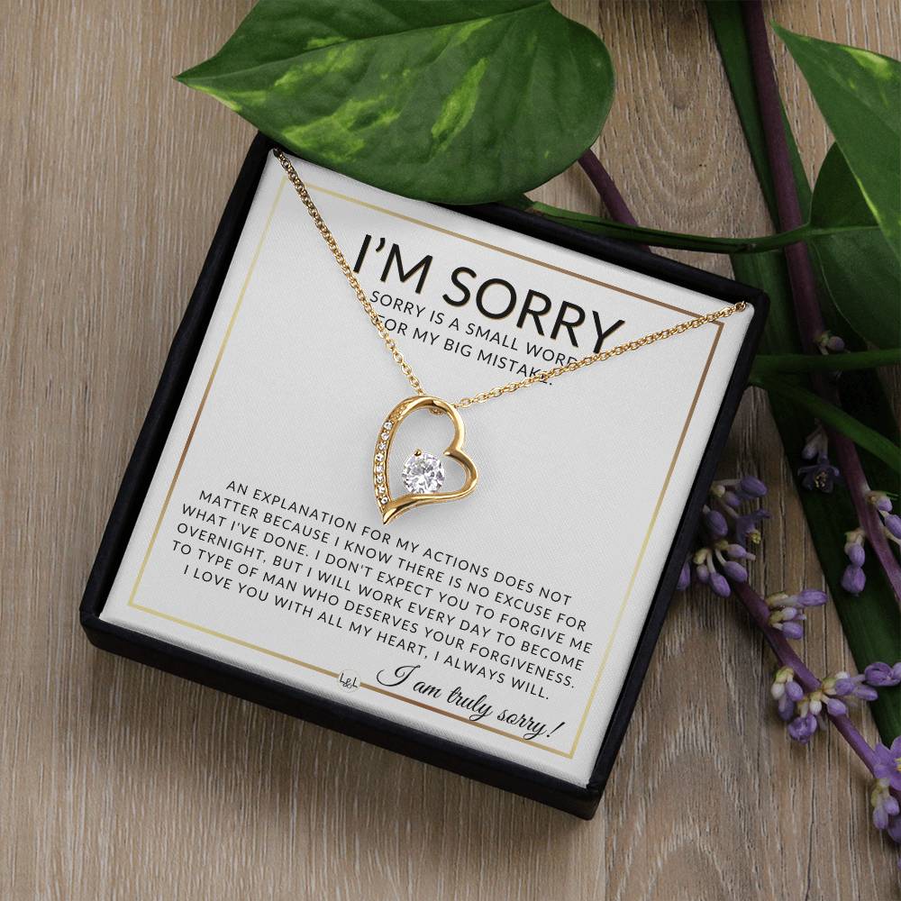 I Am Sorry Gift For Her - No Excuses - Apology Gift For Wife, Fiancée, or Girlfriend - Beautiful Women's Open Heart Pendant Necklace + Heartfelt Message - Liliana and Liam
