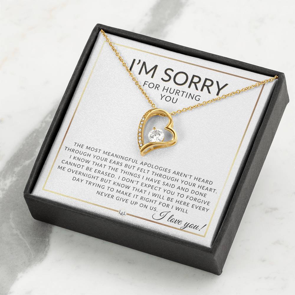 I Am Sorry Gift For Her - Never Giving Up - Apology Gift For Wife, Fiancée, or Girlfriend - Beautiful Women's Open Heart Pendant Necklace + Heartfelt Message - Liliana and Liam