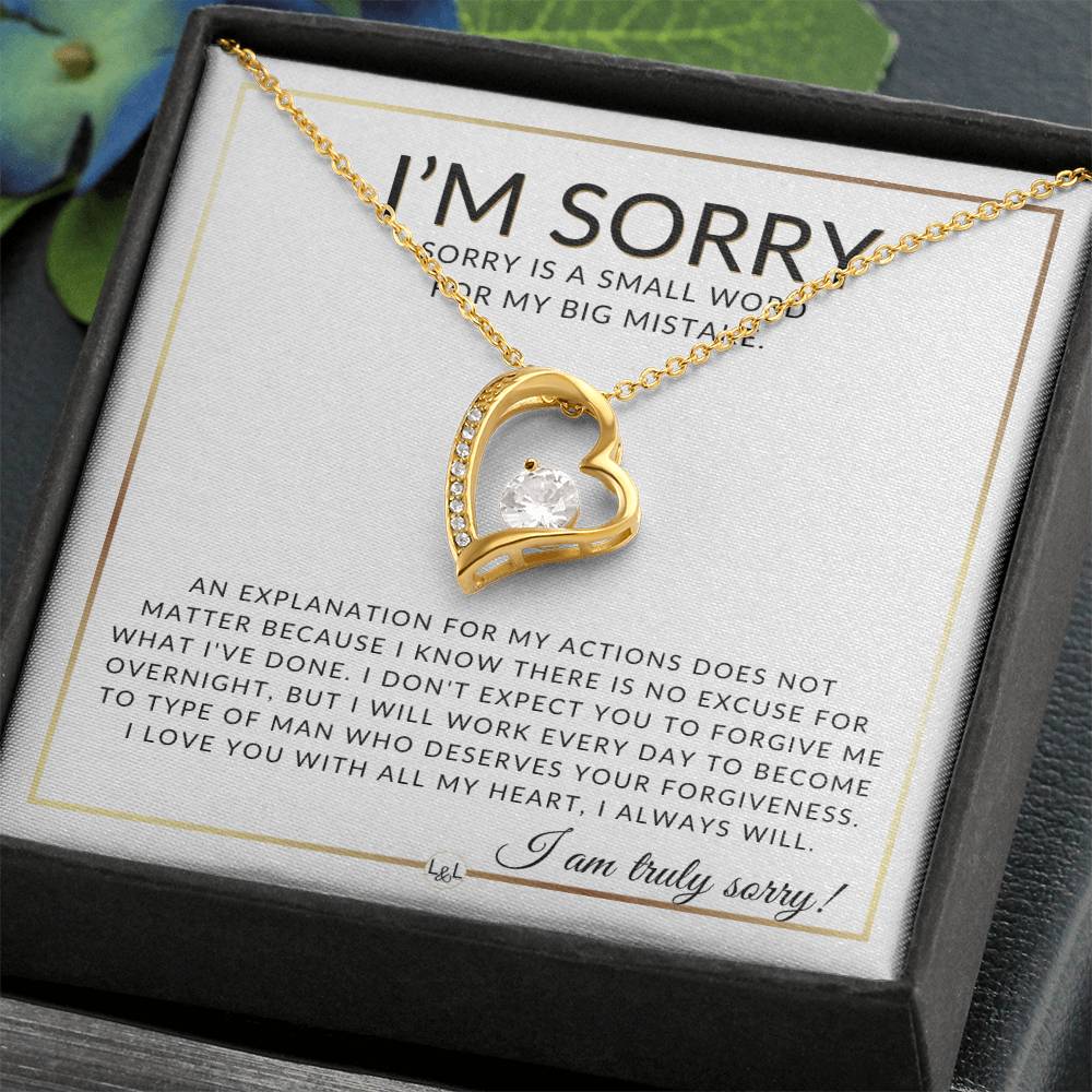 I Am Sorry Gift For Her - No Excuses - Apology Gift For Wife, Fiancée, or Girlfriend - Beautiful Women's Open Heart Pendant Necklace + Heartfelt Message - Liliana and Liam