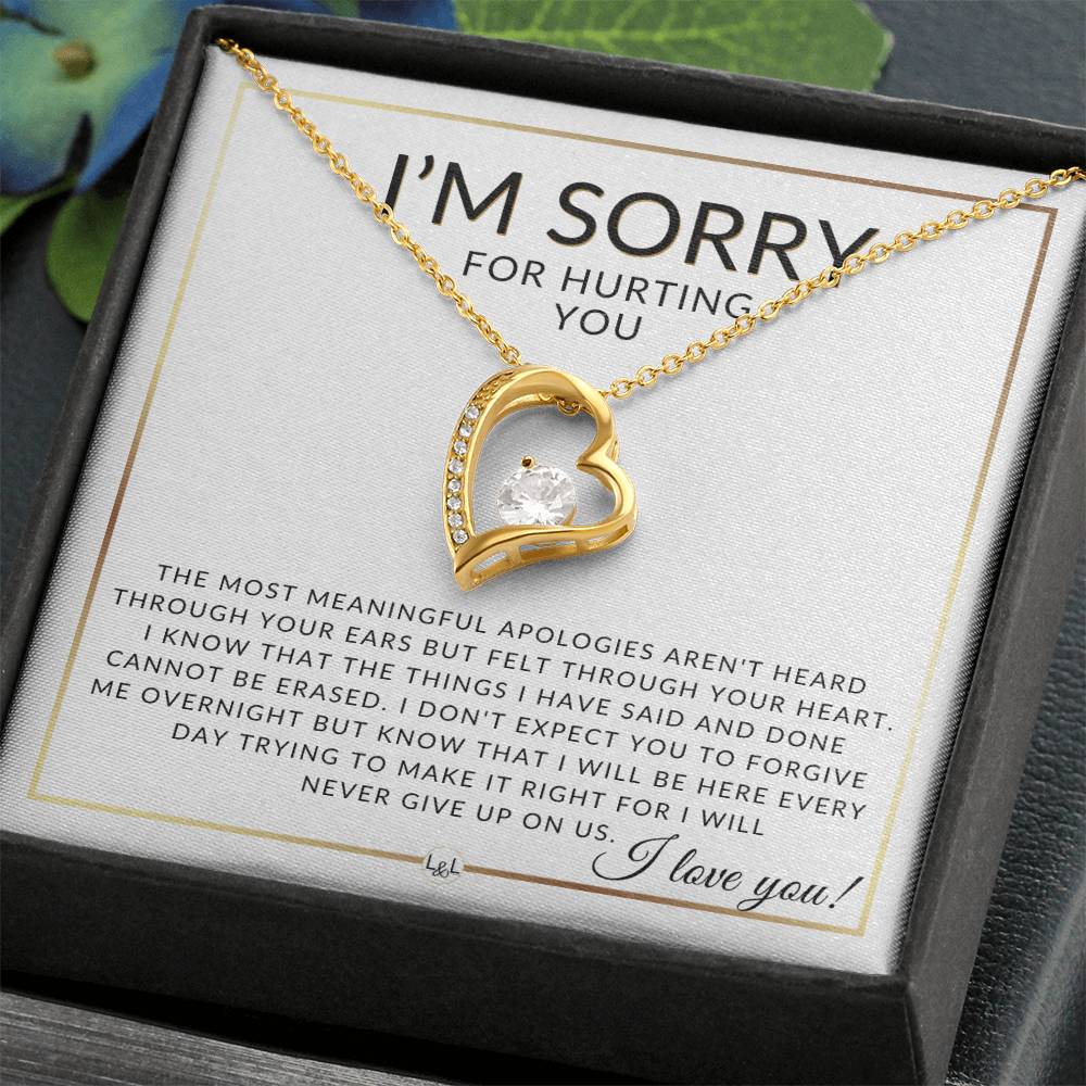 I Am Sorry Gift For Her - Never Giving Up - Apology Gift For Wife, Fiancée, or Girlfriend - Beautiful Women's Open Heart Pendant Necklace + Heartfelt Message - Liliana and Liam