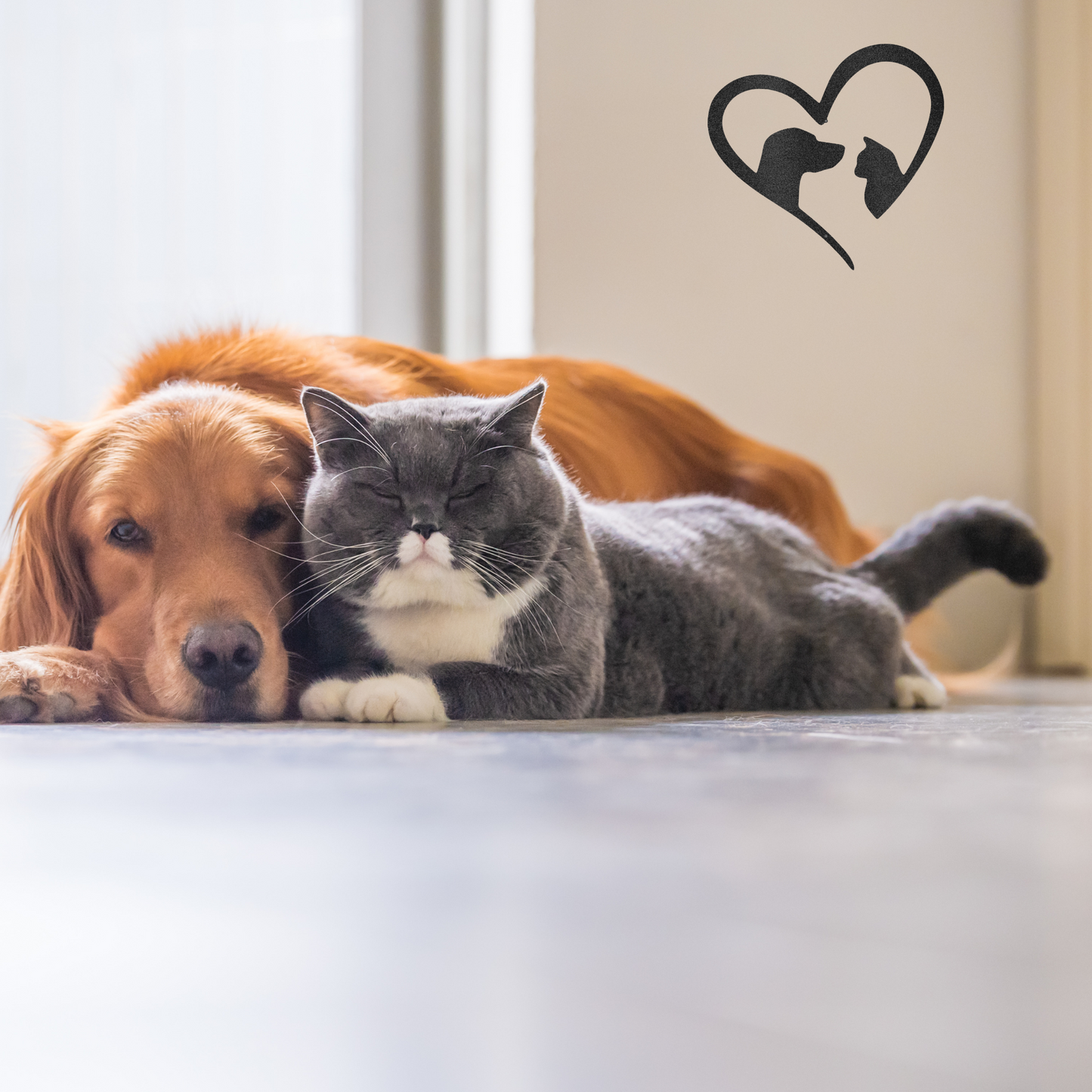 Cat and Dog Love - Custom Metal Sign - Gift for Vet, Dog Groomer