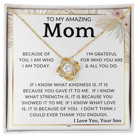 Gift for Mom, From Son - All You Do - To Mother, From Son - Beautiful Women's Pendant Necklace - Great For Mother's Day, Christmas, or Her Birthday - Liliana and Liam