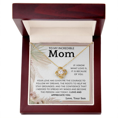 Gift for Mom, From Son - Because Of You - To Mother, From Son - Beautiful Women's Pendant Necklace - Great For Mother's Day, Christmas, or Her Birthday - Liliana and Liam