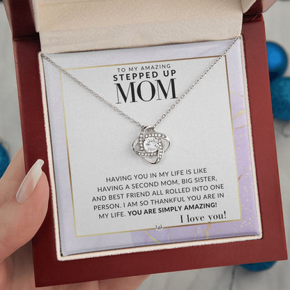 Amazing Stepped Up Mom Gift - Present for Stepmom or Stepmother - Great For Mother's Day, Christmas, Her Birthday, Or As An Encouragement Gift