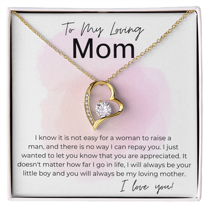 You are Appreciated - Gift for Mom, From Son - Heart Pendant Necklace